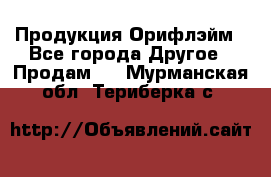 Продукция Орифлэйм - Все города Другое » Продам   . Мурманская обл.,Териберка с.